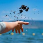 How Much Is a New Rolex Submariner Bracelet? Accessorize in Style!