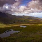 Conor McGregor’s New Watch: Setting Trends in Timekeeping!