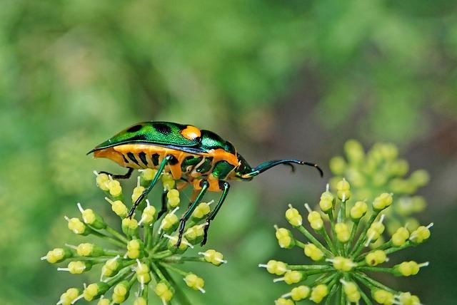 Delving into the Significance of Jewels in Fossil Mechanical Watches