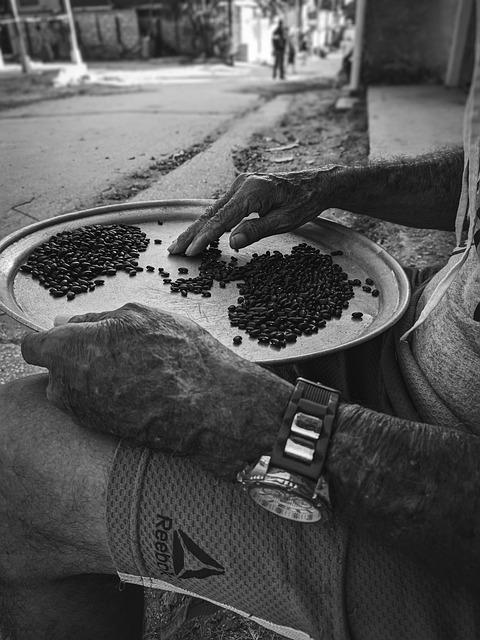 How Do You Organize Watch Collection Efficiently? Tips & Tricks 2 Utilizing Watch Trays, Cases, and Display Boxes