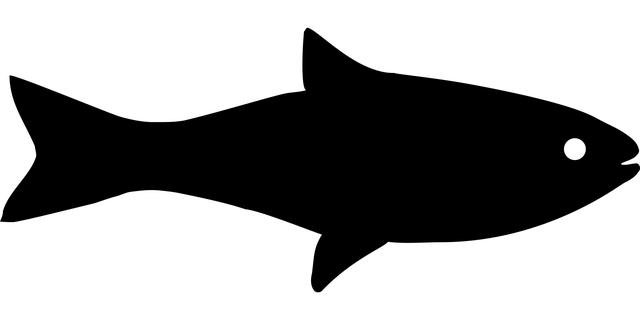 An Iconic Heritage: Unveiling the Timeless Appeal of Automatic Watches