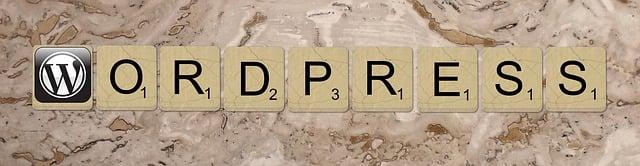 Customizable Features for Personalized Style