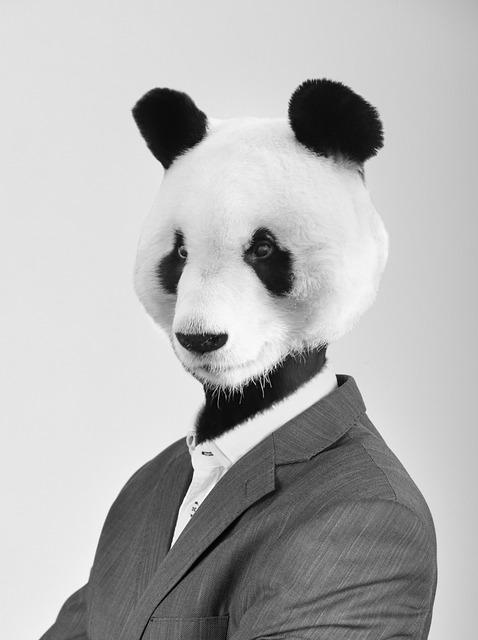 Tailor-Made Convenience: Exploring Customizable Settings of ⁤Automatic Watch⁢ Winders