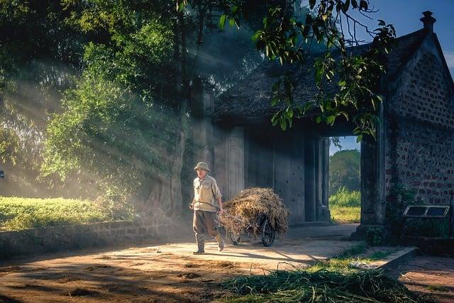 7. A Gateway to Prestige: Unveiling the Gems Among Budget-Friendly Automatic Watches