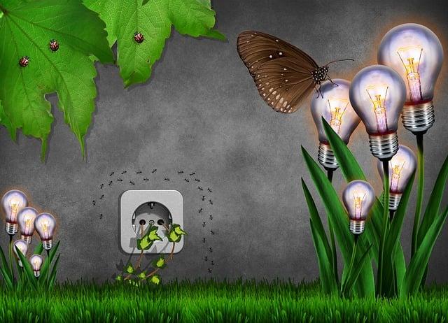 Budget-Friendly Mechanical Watches with Timeless Designs