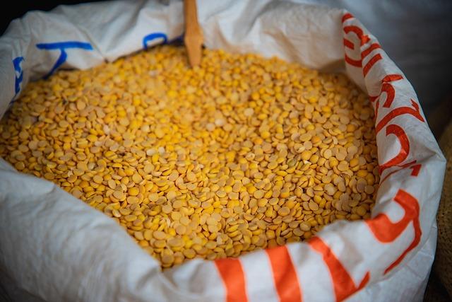 Highlighting the Importance of Durability and Reliability in a First-Class Mechanical Watch