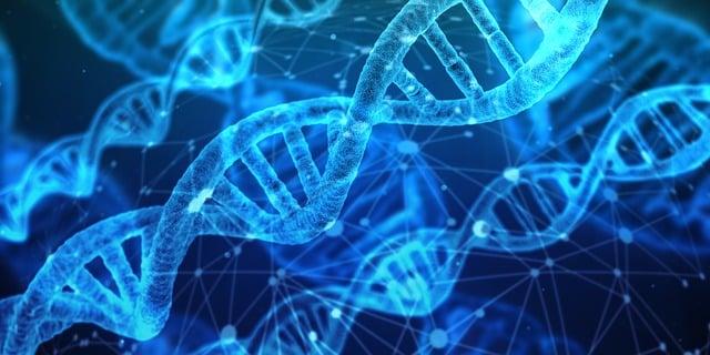 The Science Behind Accuracy: How Regulating Mechanisms Maintain Precision