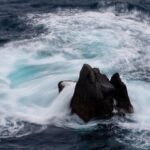 Price of Rolex Submariner Hulk: Discover Green Elegance!