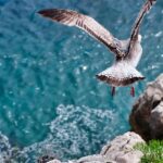 Is Powermatic 80 a Good Movement? Know Before You Invest