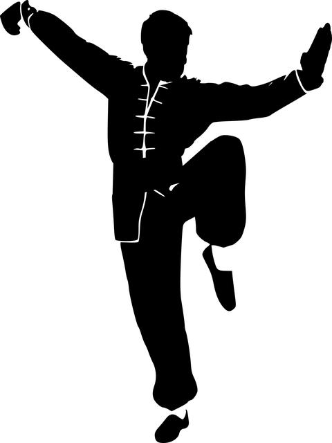 Action-Packed: Where to Watch The Mechanic Movie