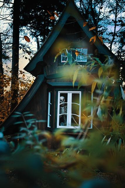 Unveiling Excellence: Best Automatic Skeleton Watch Picks