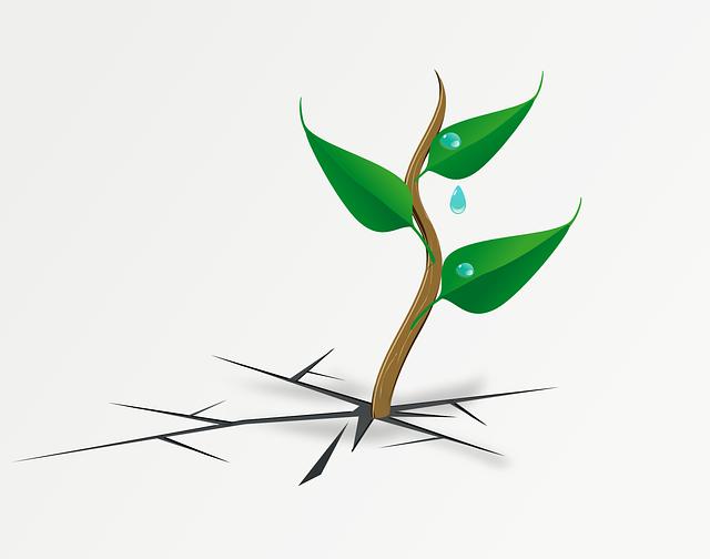 Water Resistance for Everyday Wear