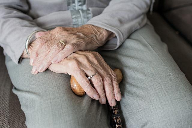 - Citizen's History and Legacy in Watchmaking