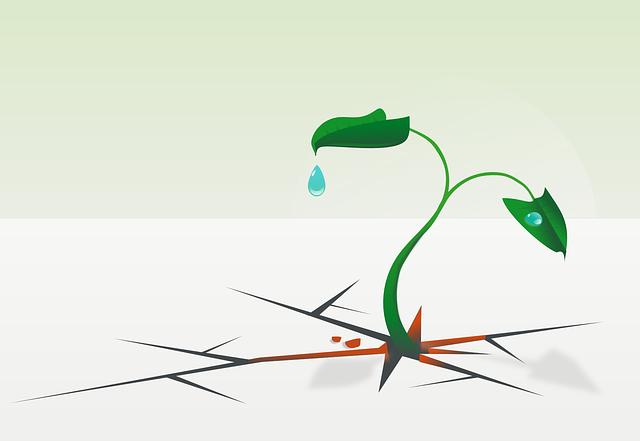 Water Resistance and Other Useful Features