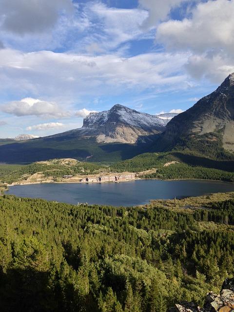 Curating a Diverse Collection: From Dress Watches to Sports Watches