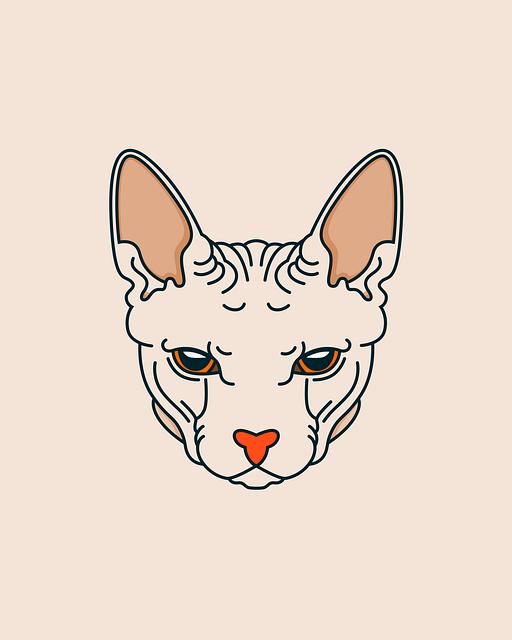 Who Owns the Most Expensive Watch Collection? Peek into Luxury 4 Unveiling the Rare and Unique Timepieces That Make Up the Most Expensive Collections