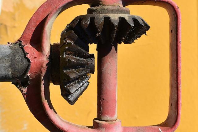 The Importance of Lubrication in Mechanical Watches